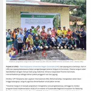 UNG-Japan Cooperation Research Develops the Potential of Sorghum Plants in Gorontalo